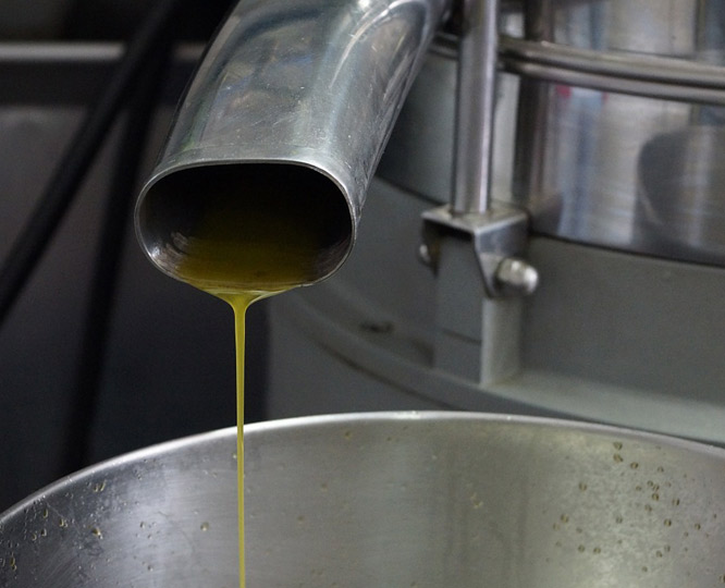 Kefalonia Olive Oil - Olive Oil Kefalonia - Extra Virgin Olive Oil Kefalonia Greece - Korfolia Olive Oil Kefalonia - Greek Extra Virgin Olive Oil - Greek Olive Oil